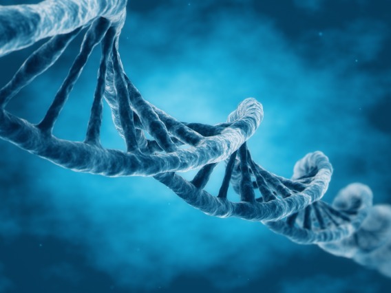 A stock image of a DNA strand