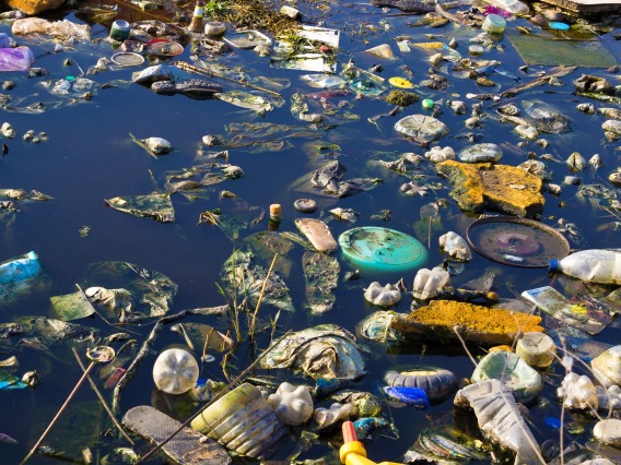 A stock image of a polluted body of water