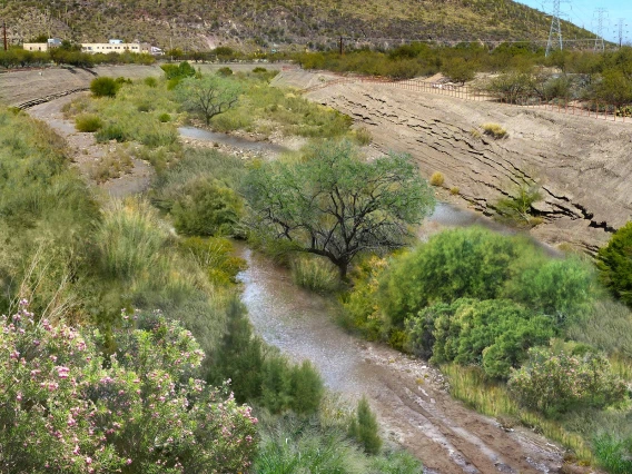 An image of the Santa Cruz river