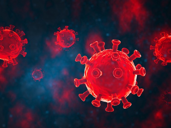 A stock image of a virus cell 