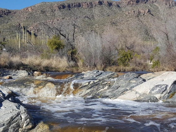 A image of bear canyon 