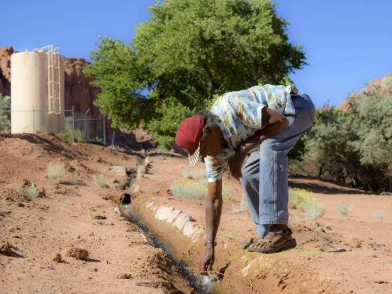 An image of an environmental field worker 