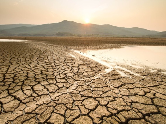 Landscape with cracked mud and drying lake bed