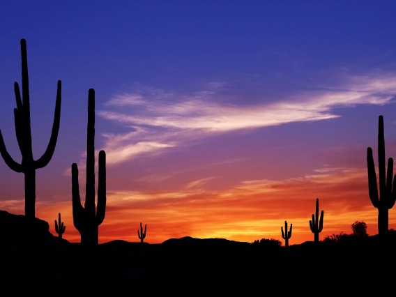 A stock image of a sunset in the desert. 