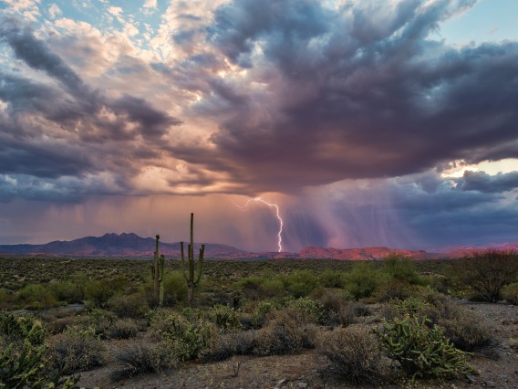 A stock image of a monsoon in an Arizona desert 