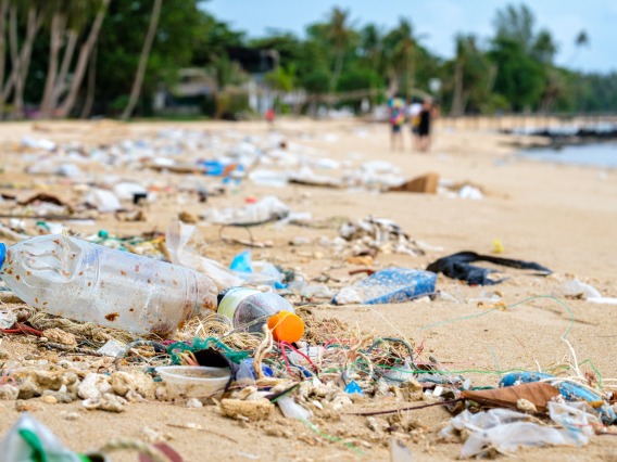 A stock image of a beach polluted by plastic bottles. 