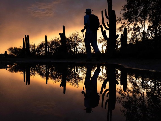 A picture of a person walking next to a body of water 