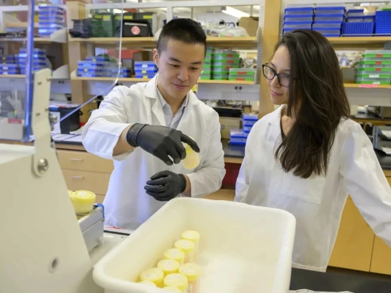 An image of a graduate student in a lab being mentored