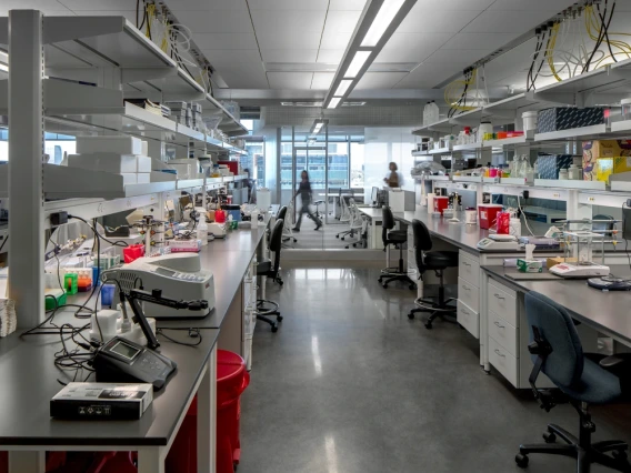 Image of a University of Arizona Lab