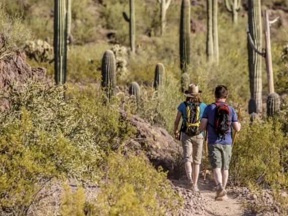 Image of two people hiking