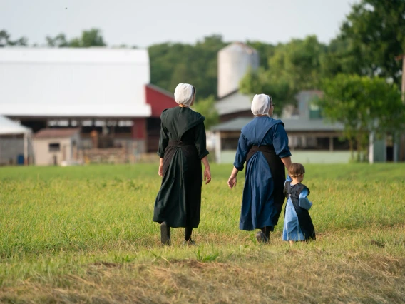 Image of Amish family