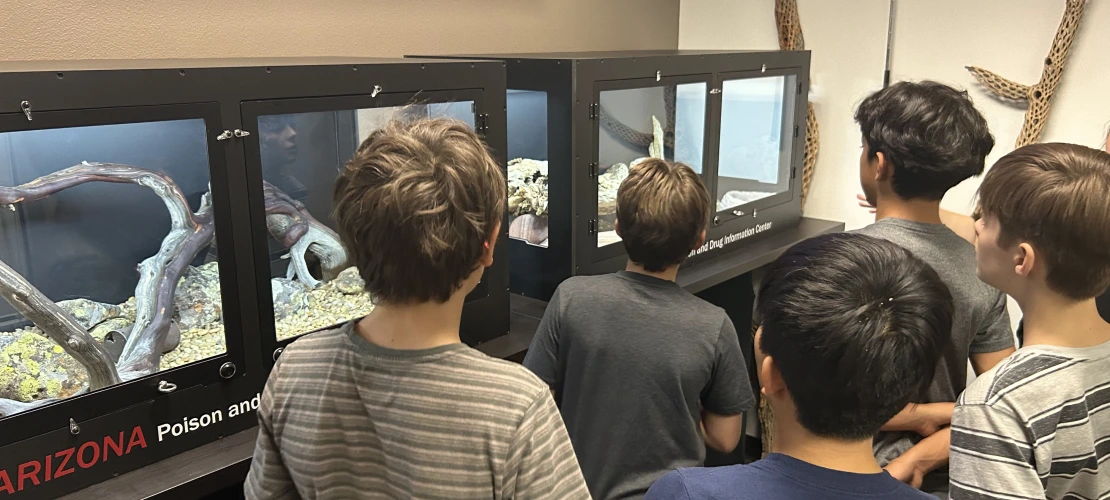 A picture of students observing an animal enclosure. 