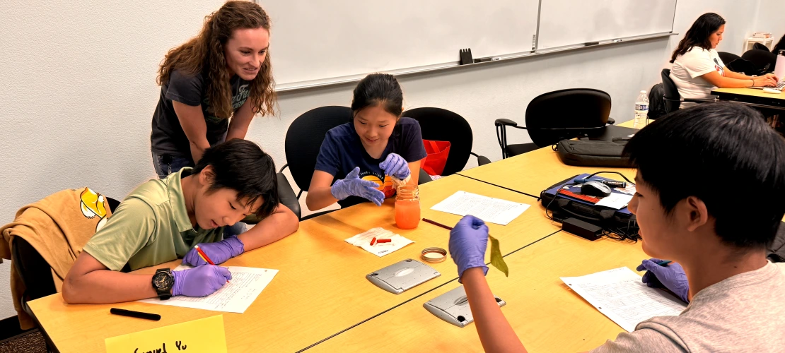 An image of students partcipating in an activity