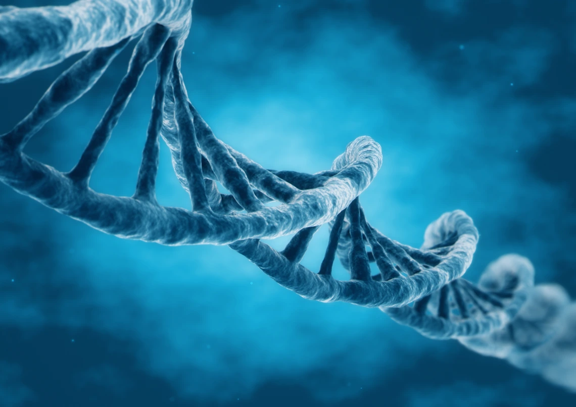 A stock image of a DNA strand