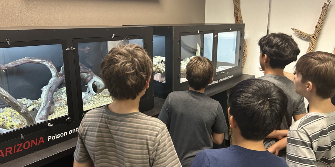 A picture of students observing an animal enclosure. 