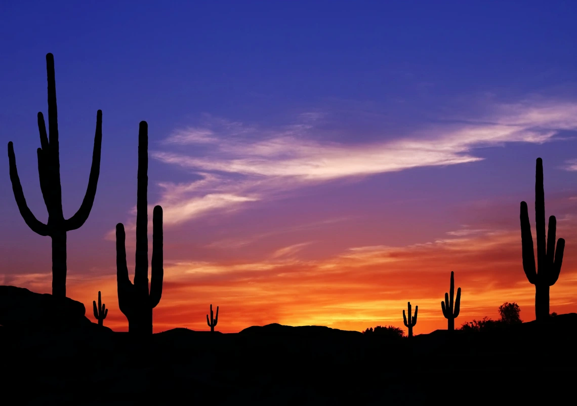 A stock image of a sunset in the desert. 