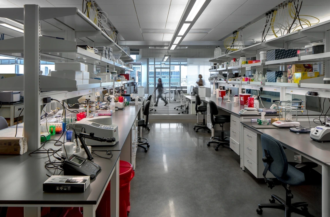 Image of a University of Arizona Lab