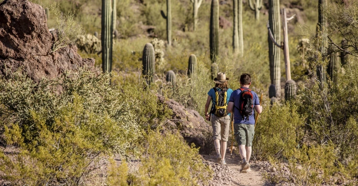 Image of two people hiking