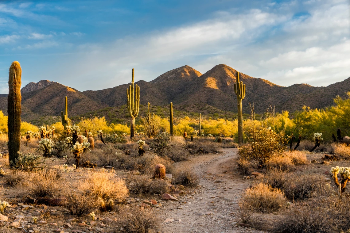 Image of Arizona Desert