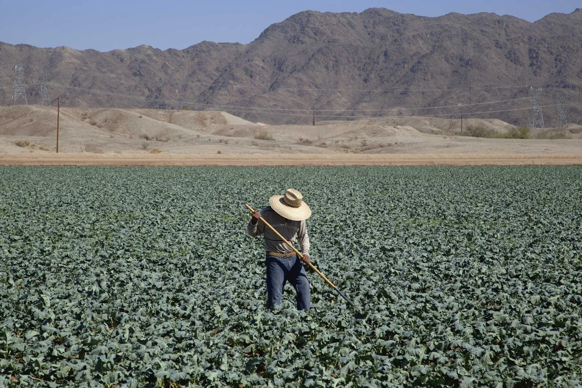 Image of an agricultural worker