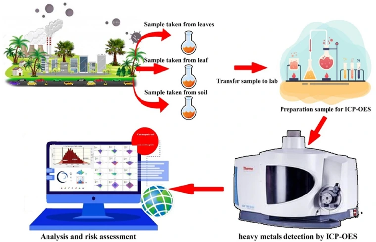 Graphical abstract showing how to use leaves as bioindicators