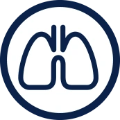 icon of lungs - representing the SWEHSC Environmental Lung Diseases research focus group