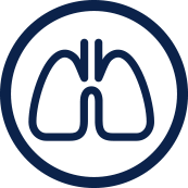 icon of lungs - representing the SWEHSC Environmental Lung Diseases research focus group
