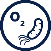 bacteria icon - representing the SWEHSC Adaptive Response to Environmental Stress research focus group