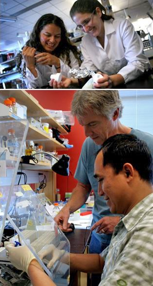 Drs Beamer and Wright work with trainees in their respective labs (two images)