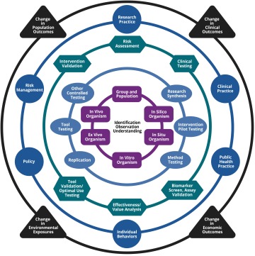 National Institutes of Environmental Health Sciences - translational framework graphic