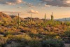 A stock image of an Arizona desert